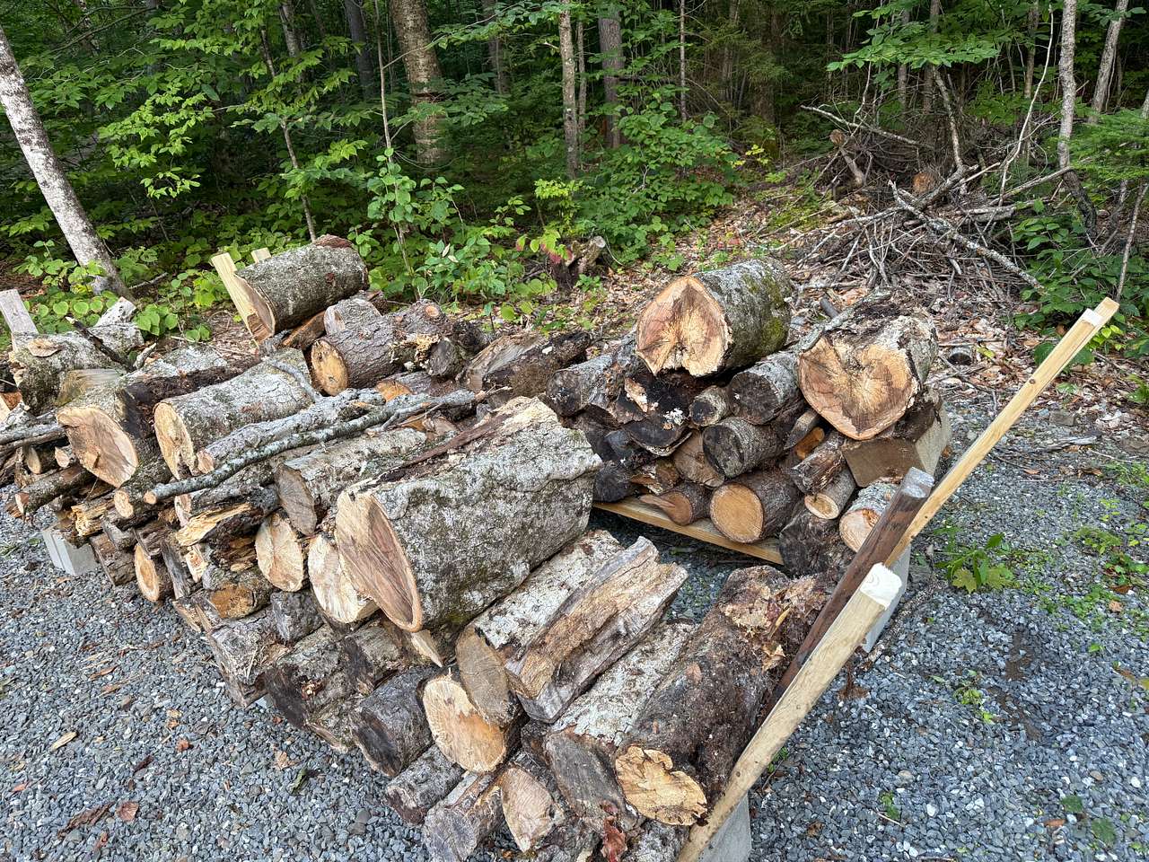 Plenty of firewood