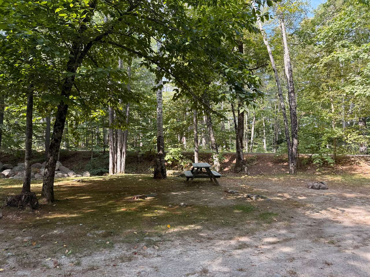 Big Moose Inn Cabins & Campground