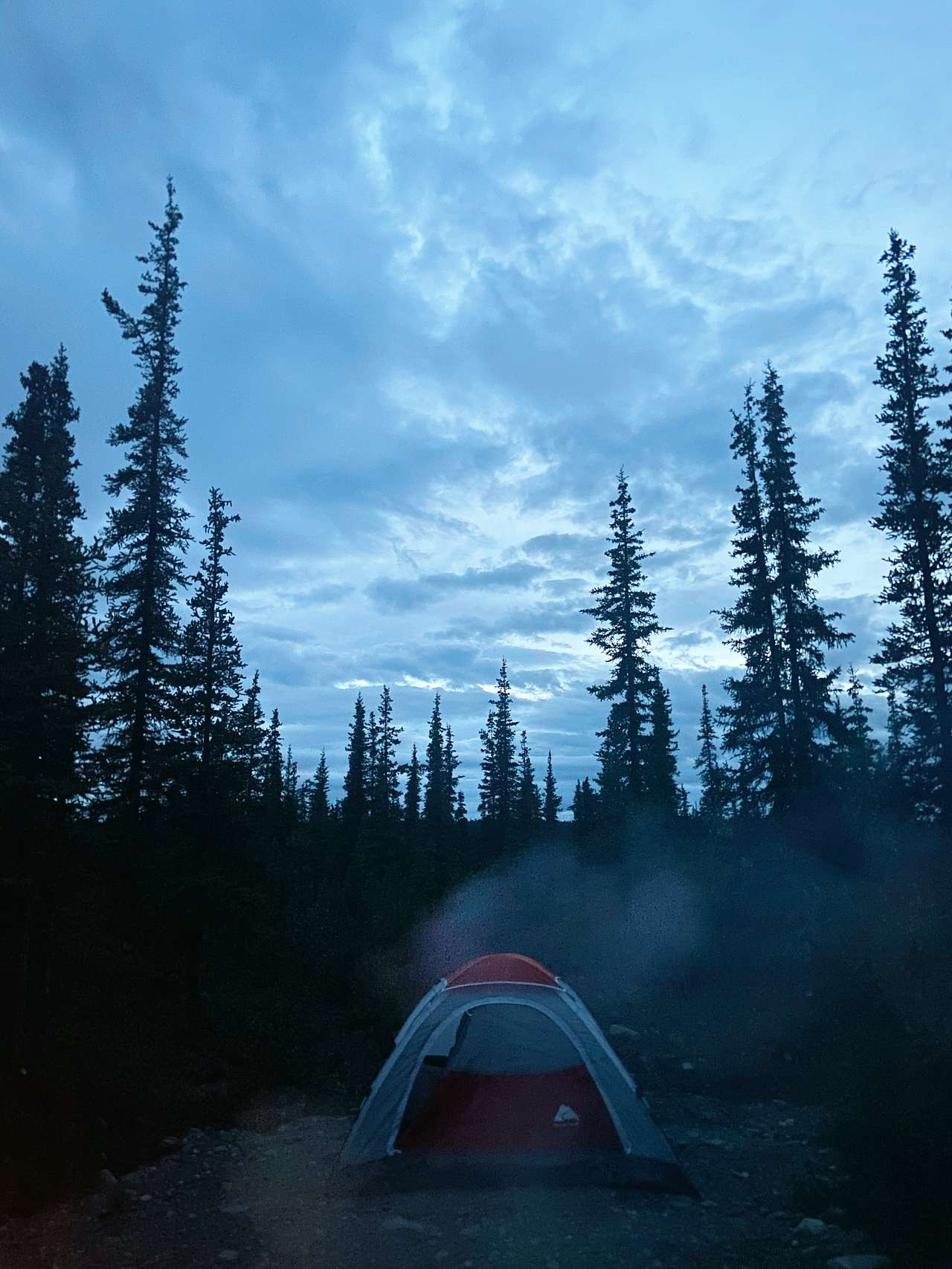 Site 2