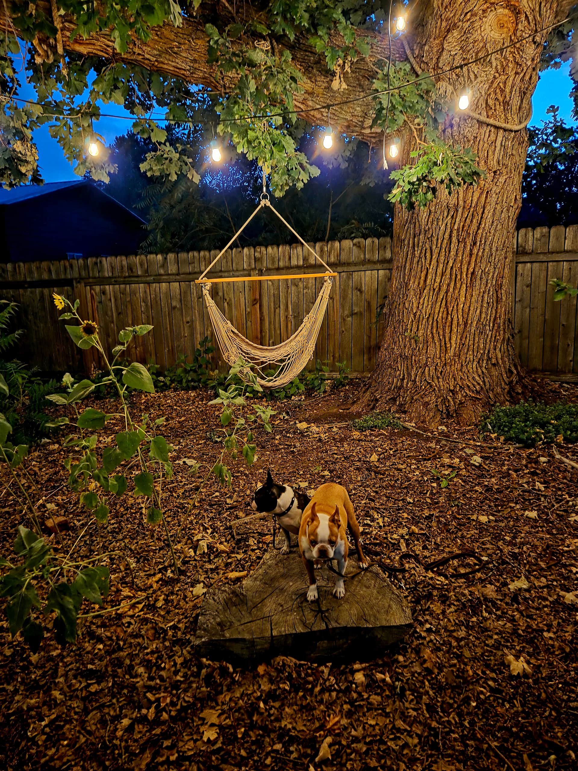 Wonderful spot