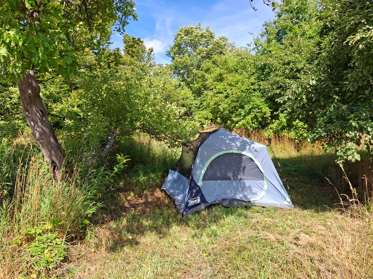 Fainne Crann Camping