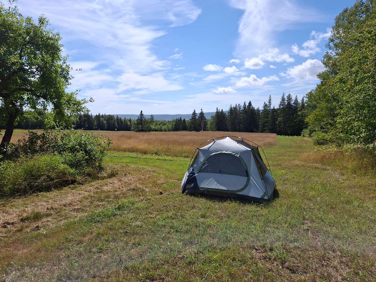 Fainne Crann Camping