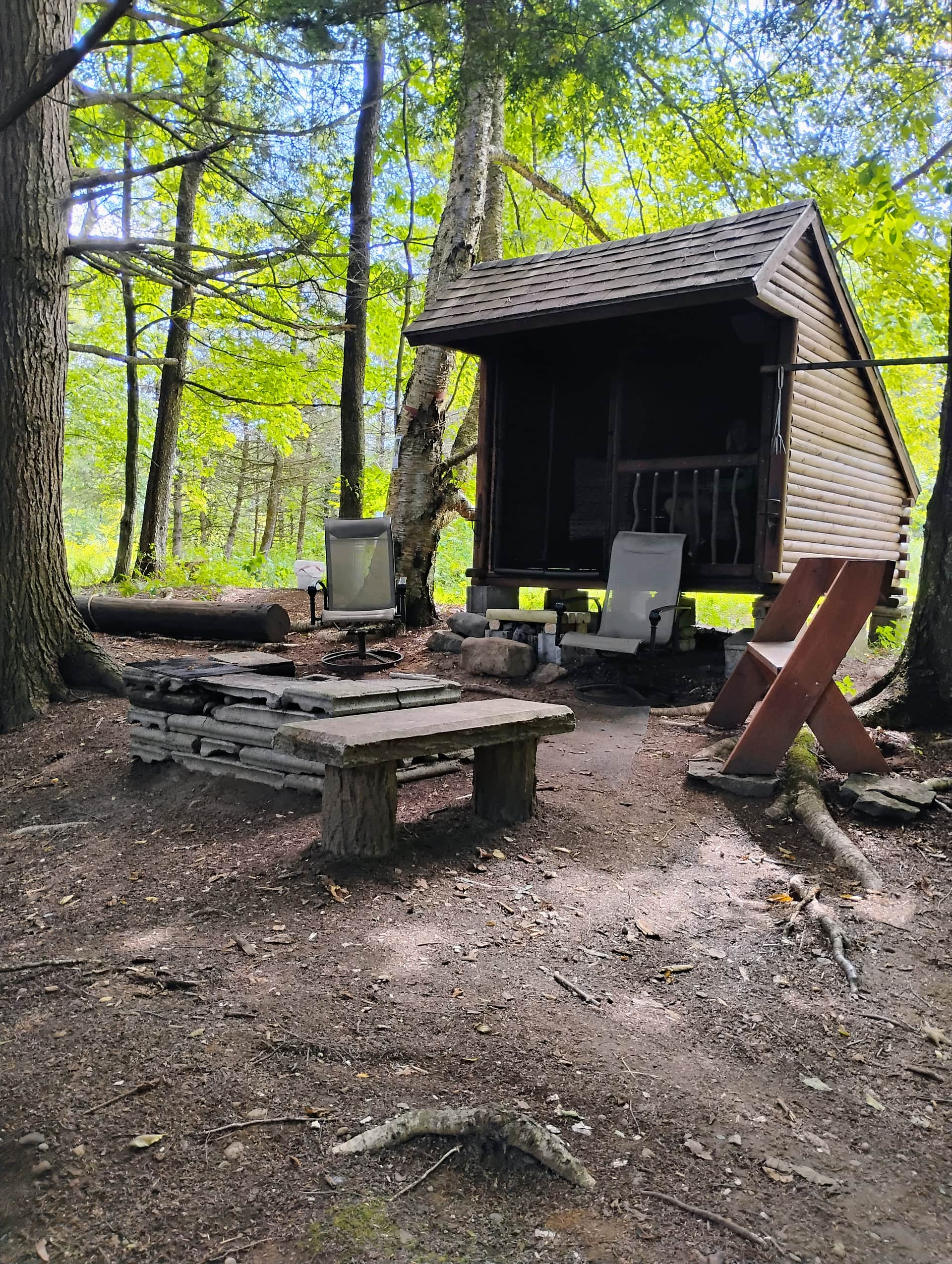 Picture of the site
