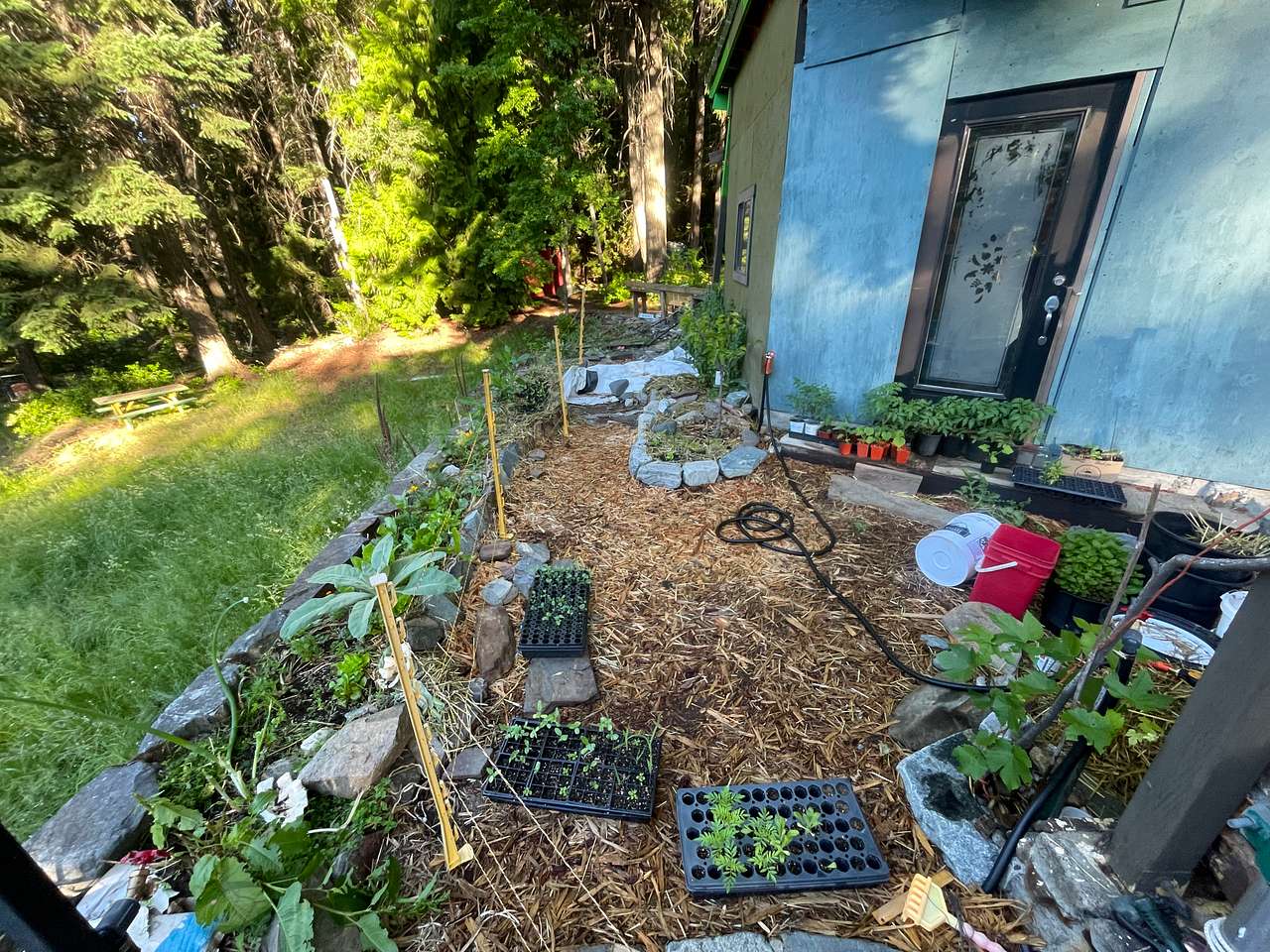 Picture of the site