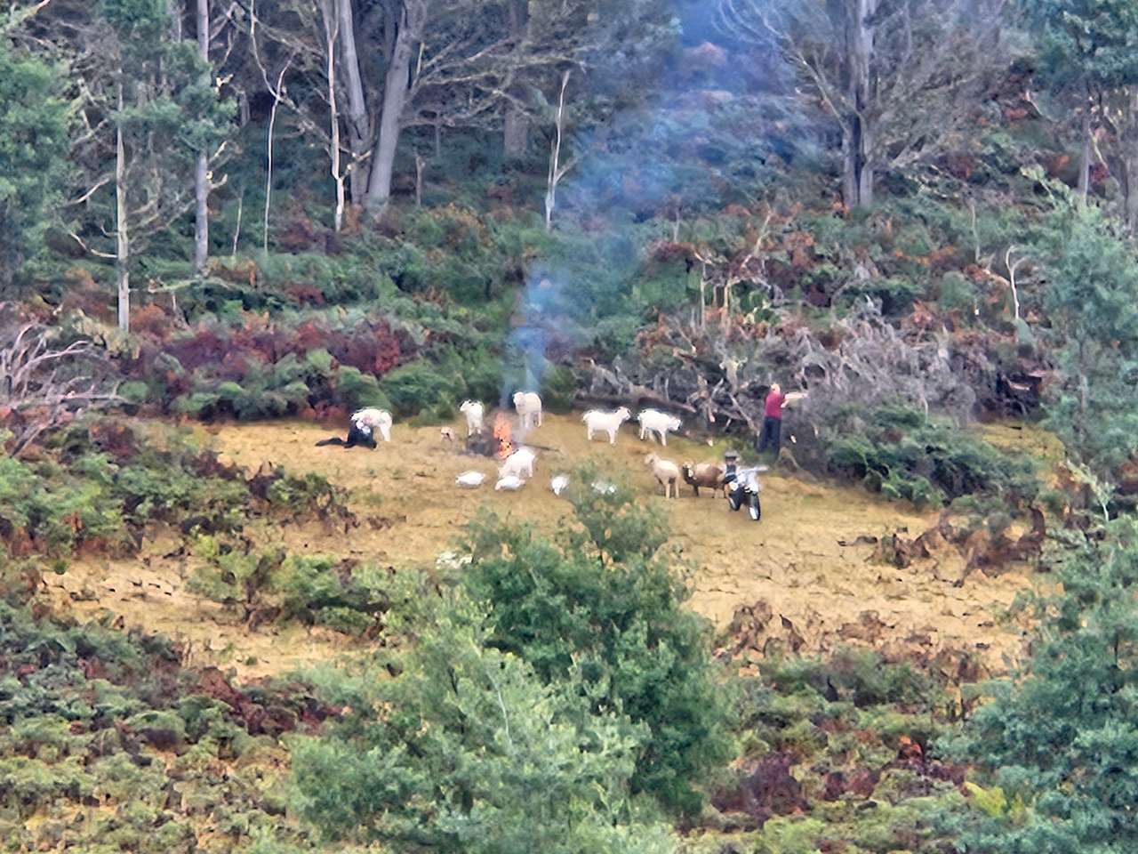 Picture of the site