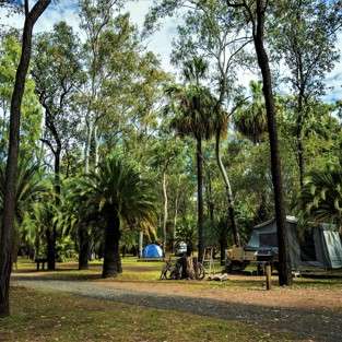 BIG4 Carnarvon Gorge Holiday Park