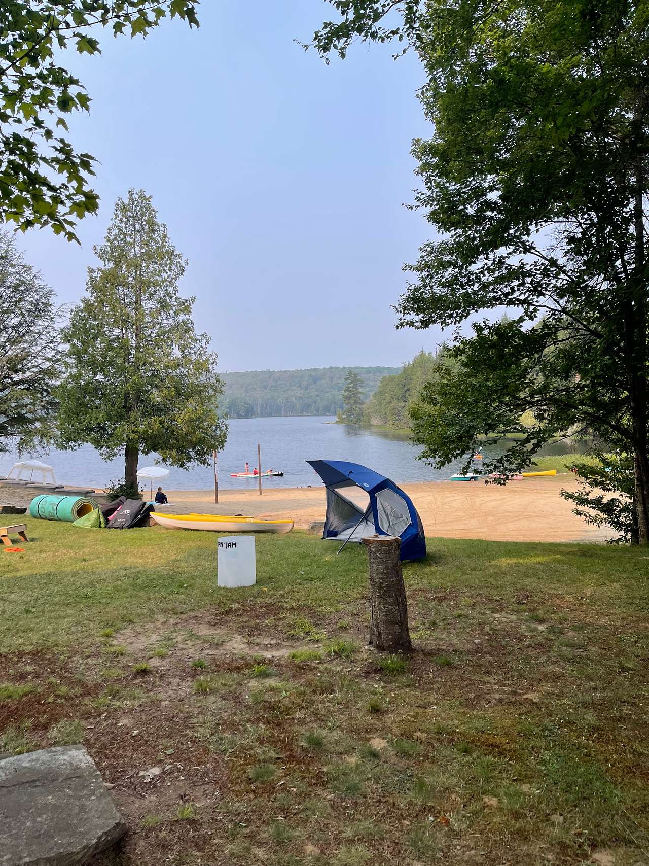 Picture of the site