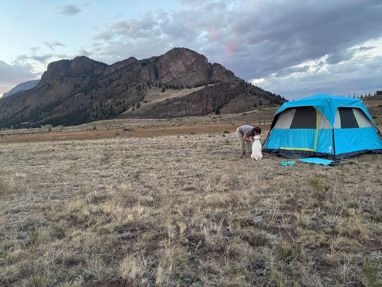 Picture of the site