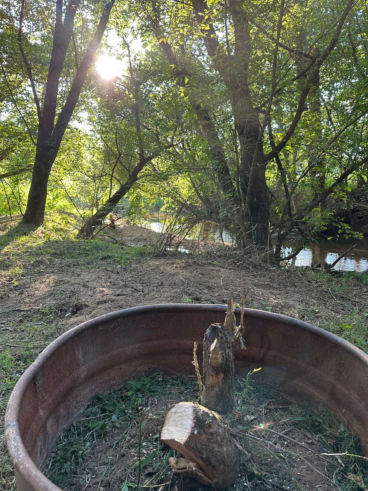 Picture of the site