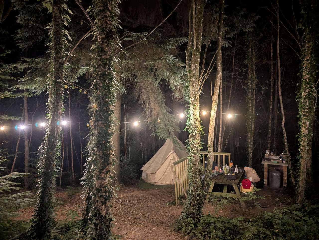 Picture of the site