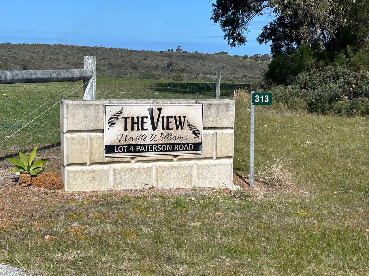 The View