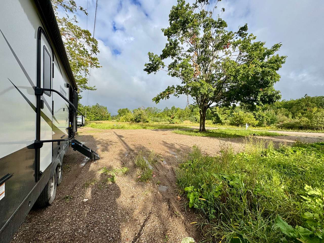 Tree in middle of u-shaped driveway 