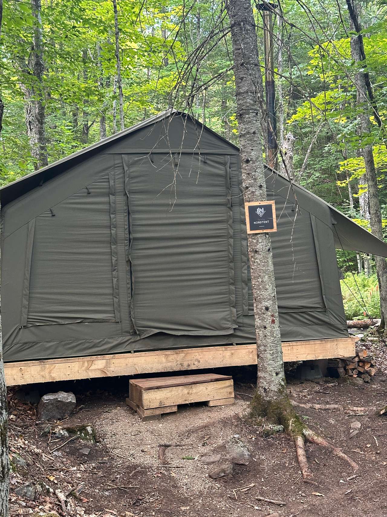 Picture of the site