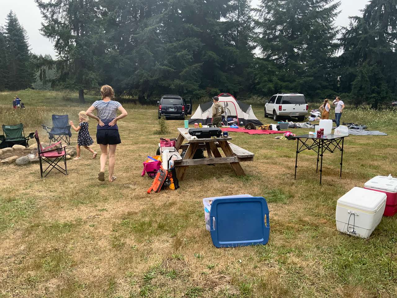 Picture of the site