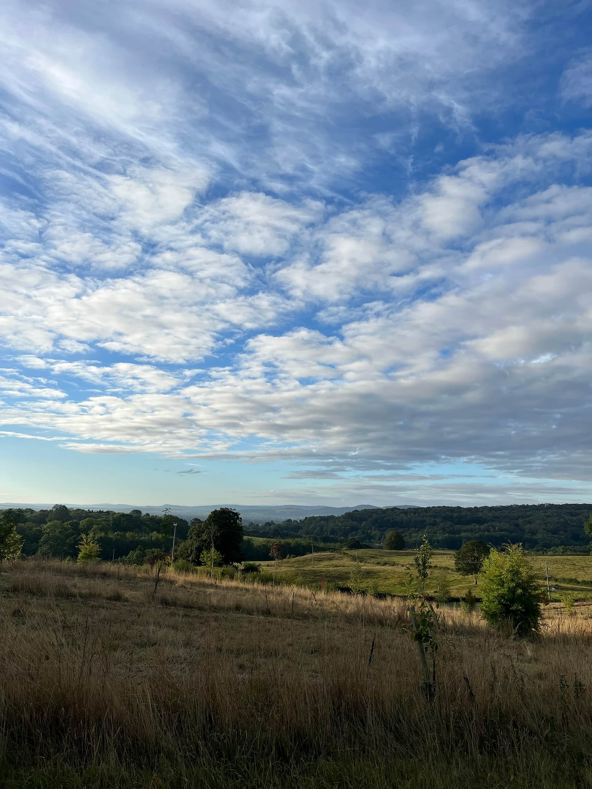 Treflach Farm