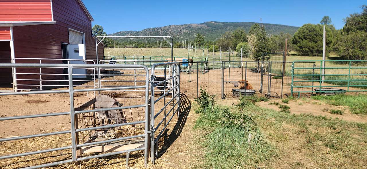 Manzano Mountain Retreat