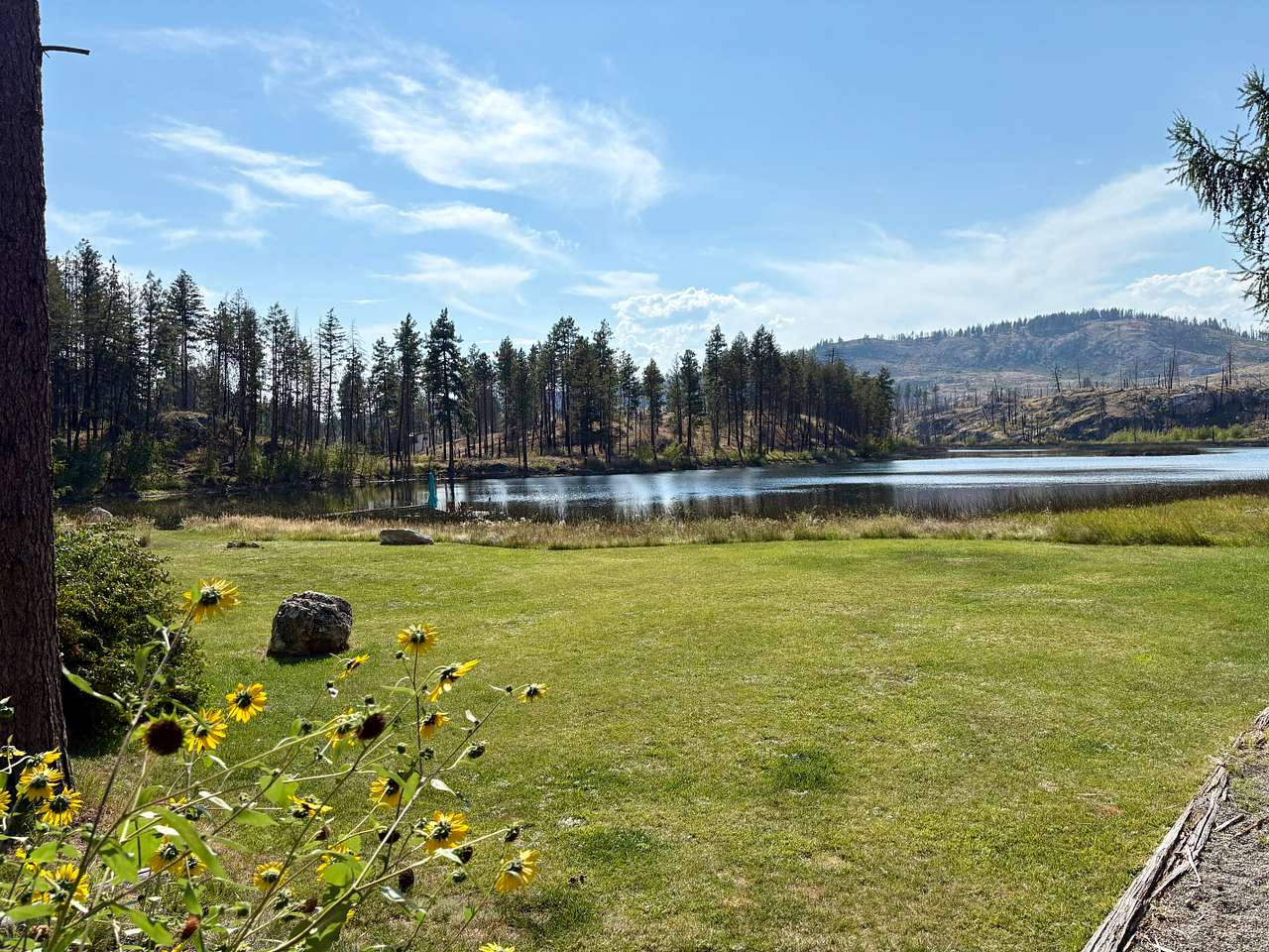 Nirvana Gardens