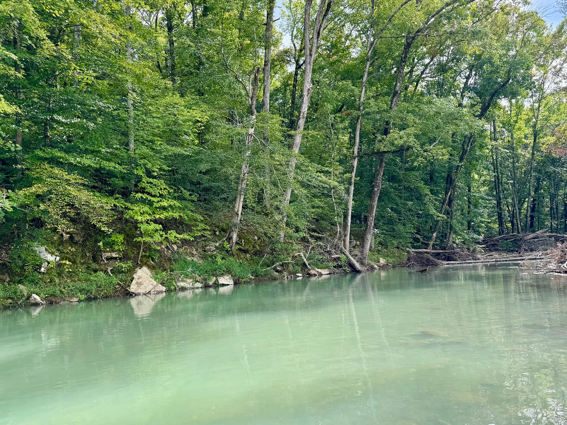 Little Mulberry Vacation Rentals
