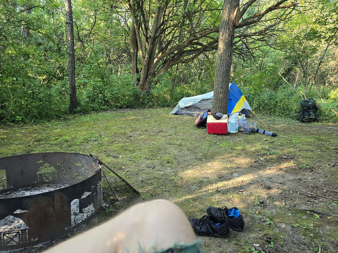 Picture of the site