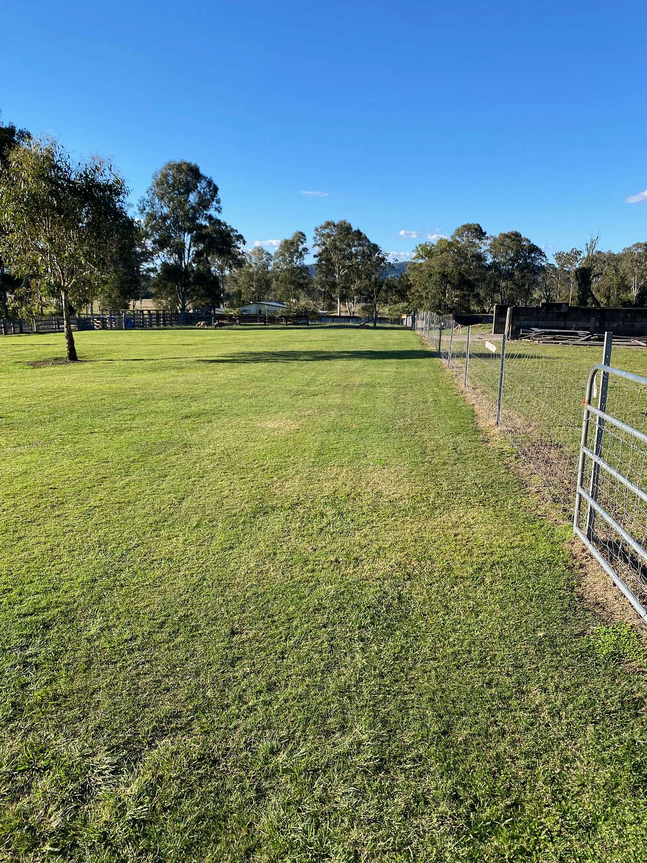 Bellwood Homestead Campground