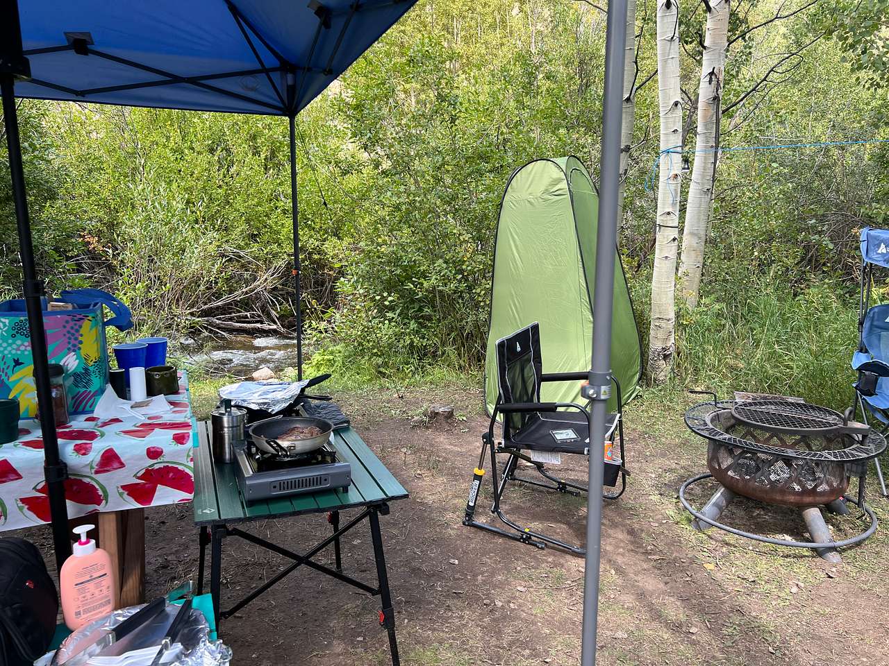 Picture of the site