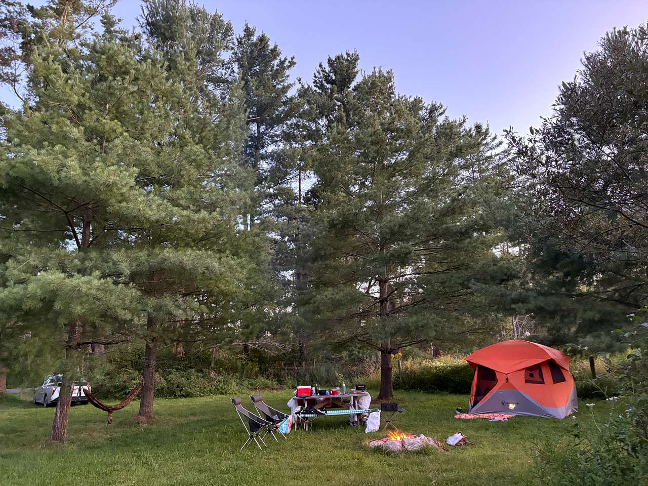 Picture of the site