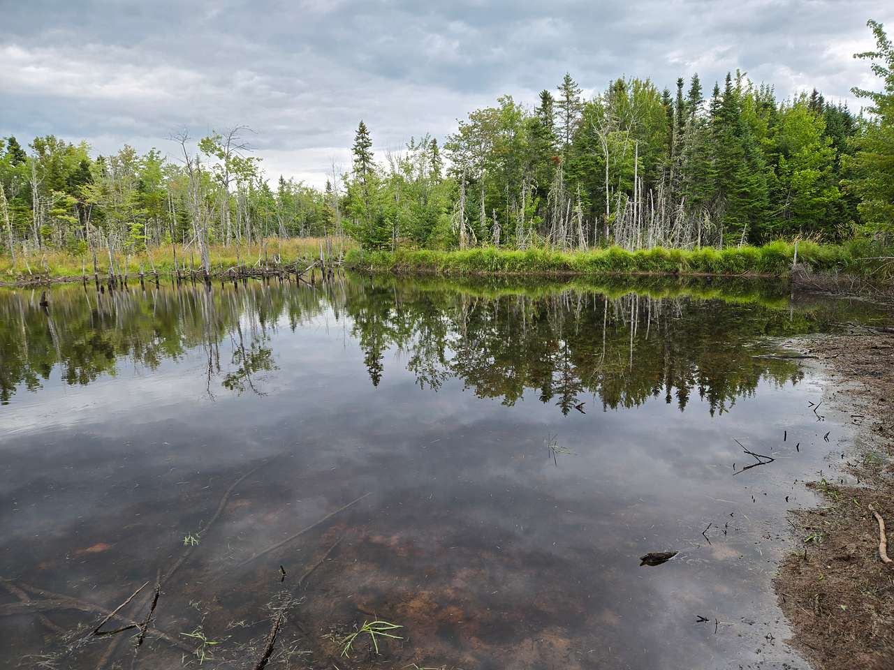 Picture of the site