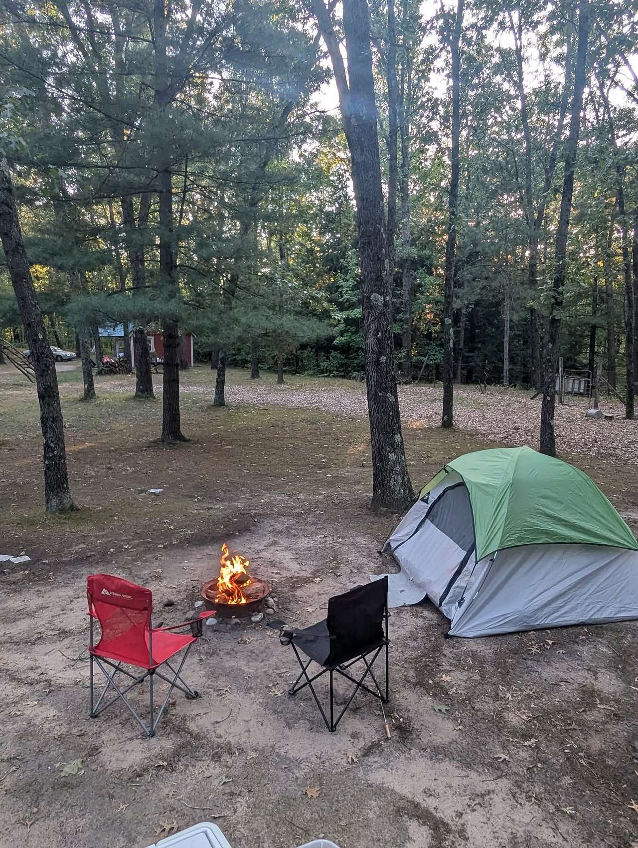 Picture of the site