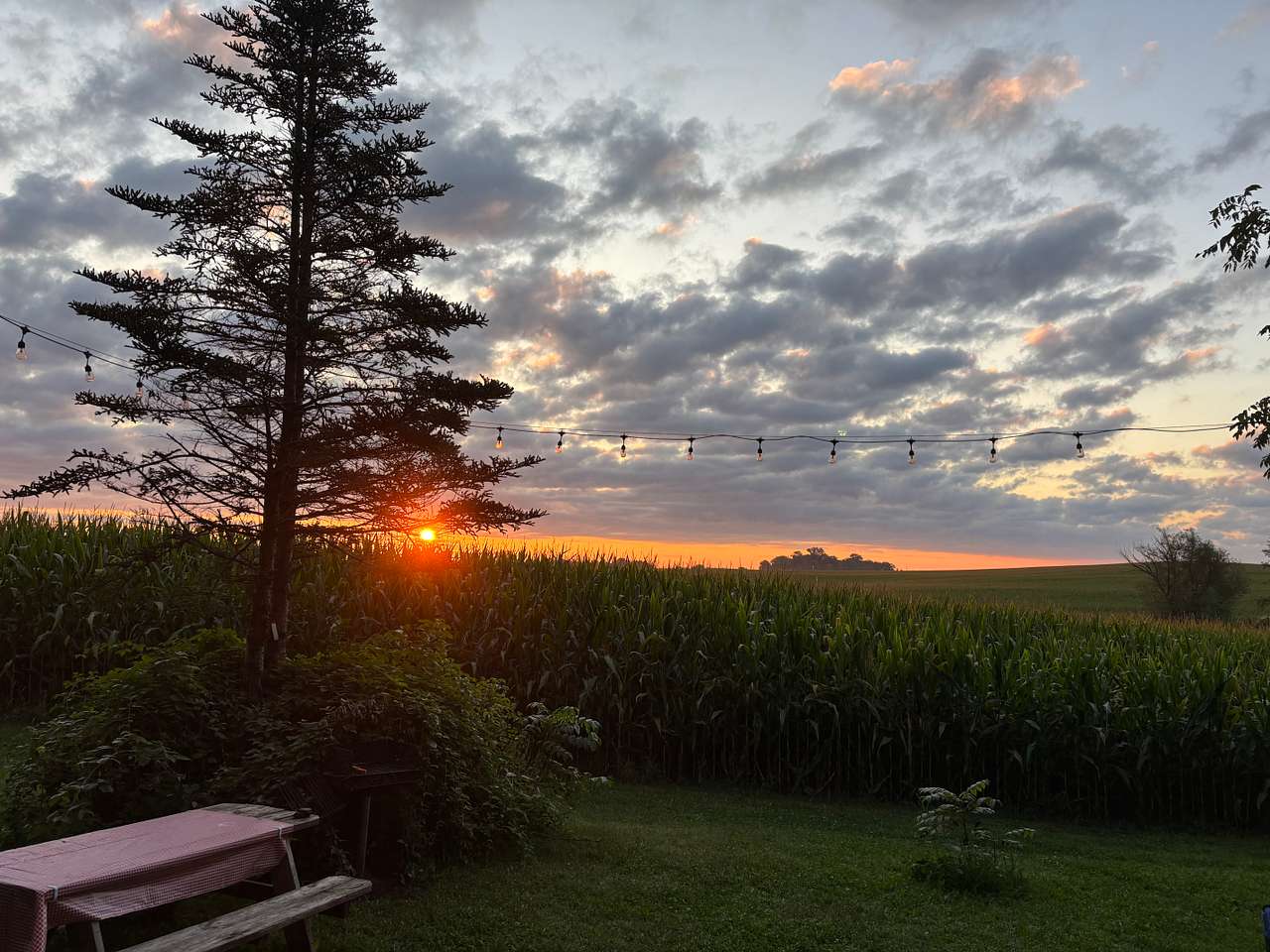Gorgeous sunrise from front porch