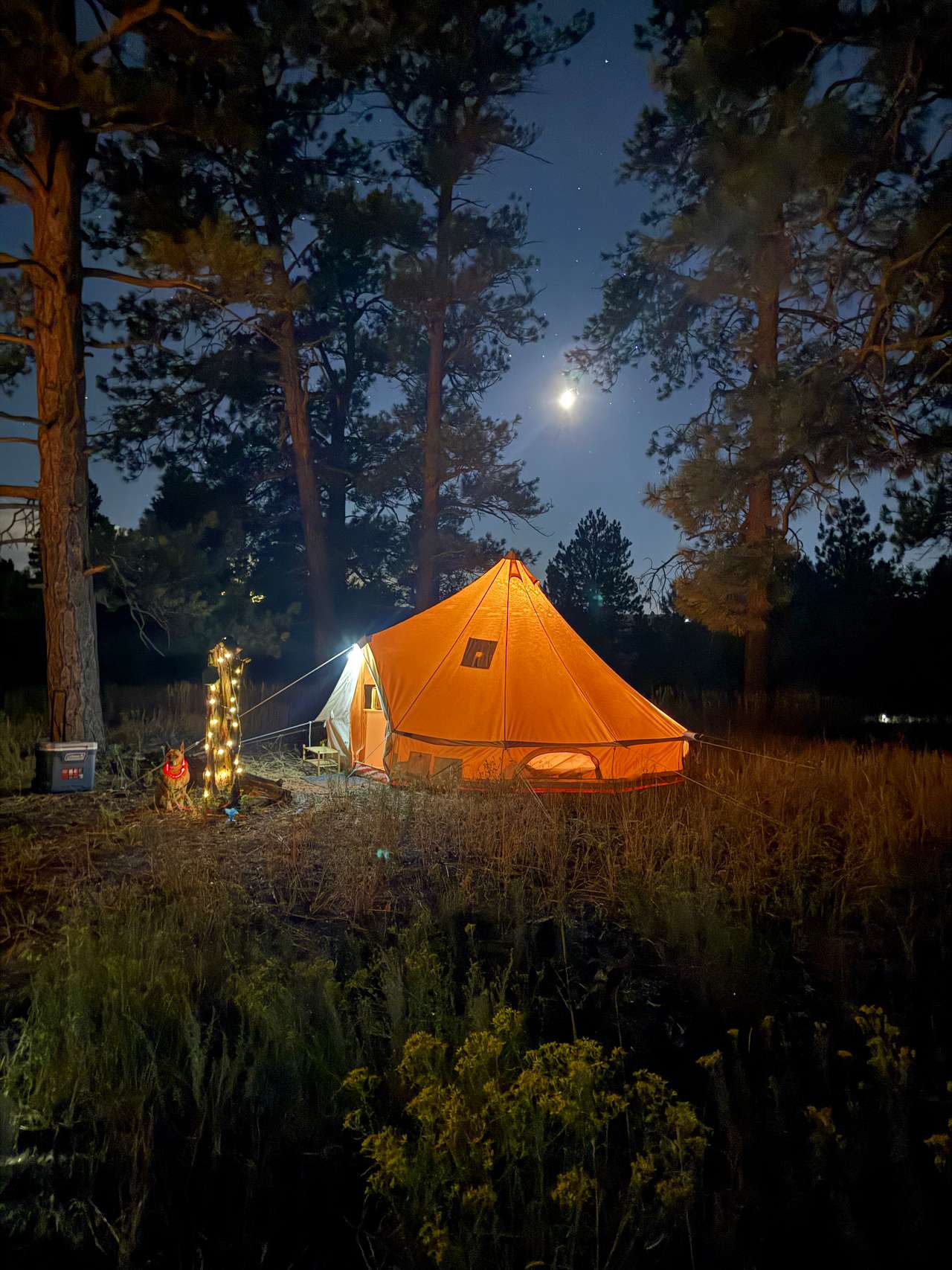 Private 120-Acre Horse Sanctuary