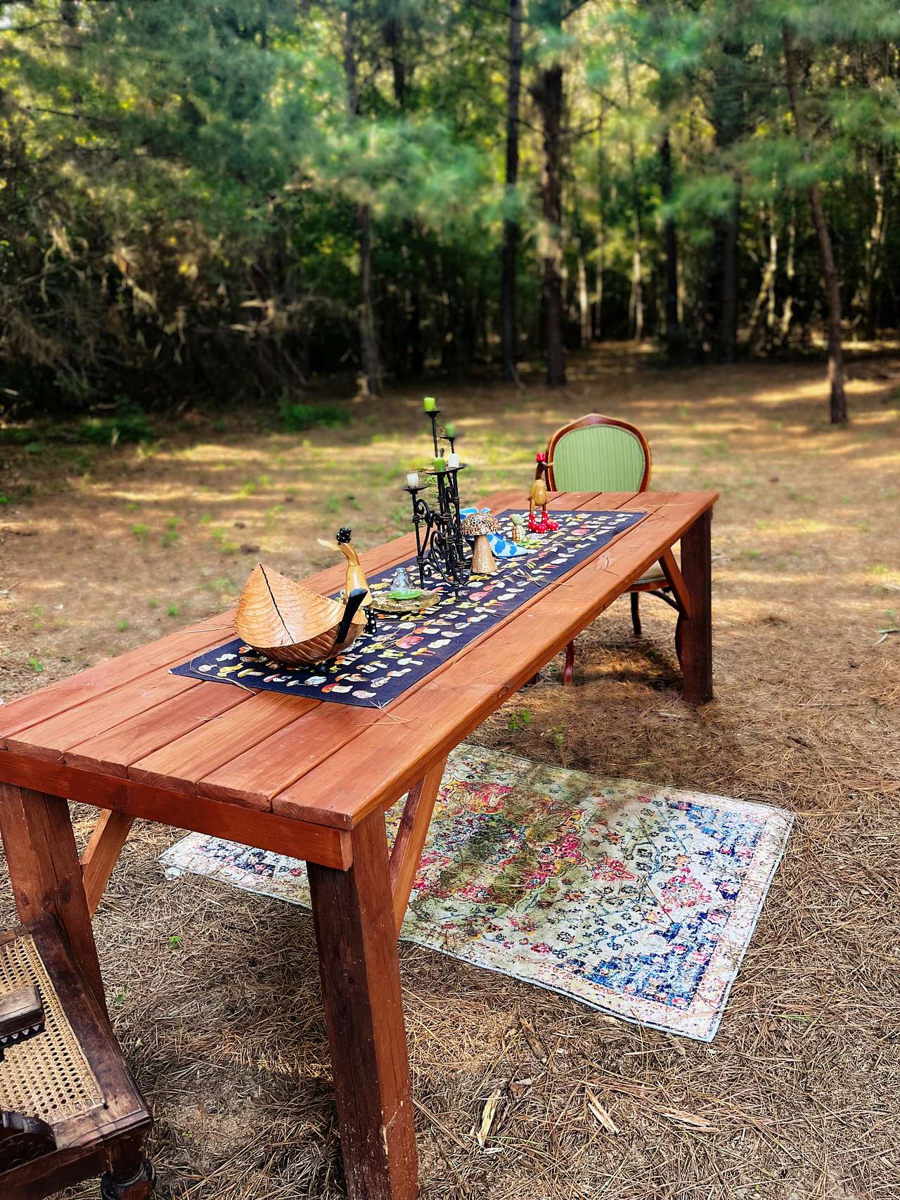 The Unplugged Forest