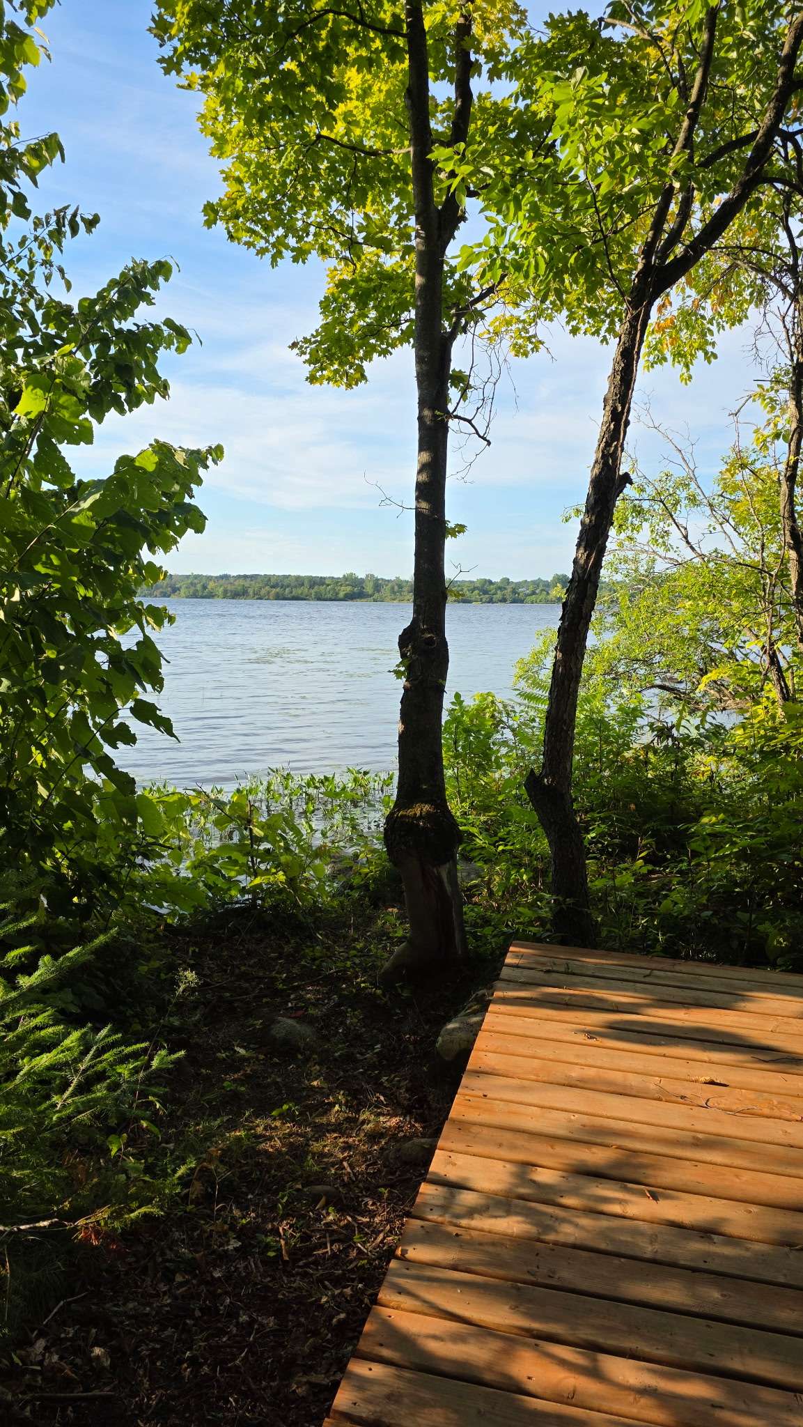 Camp, Ottawa river, Grenville C-O-G
