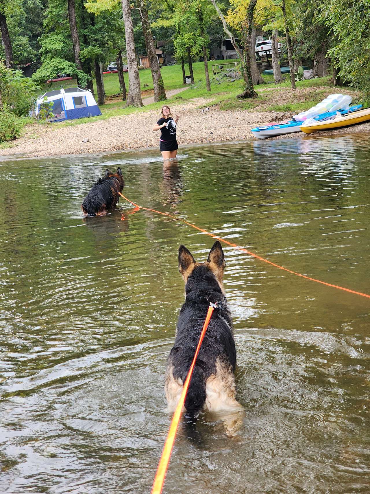Caddo River Camp: Tent, RV, Cabins