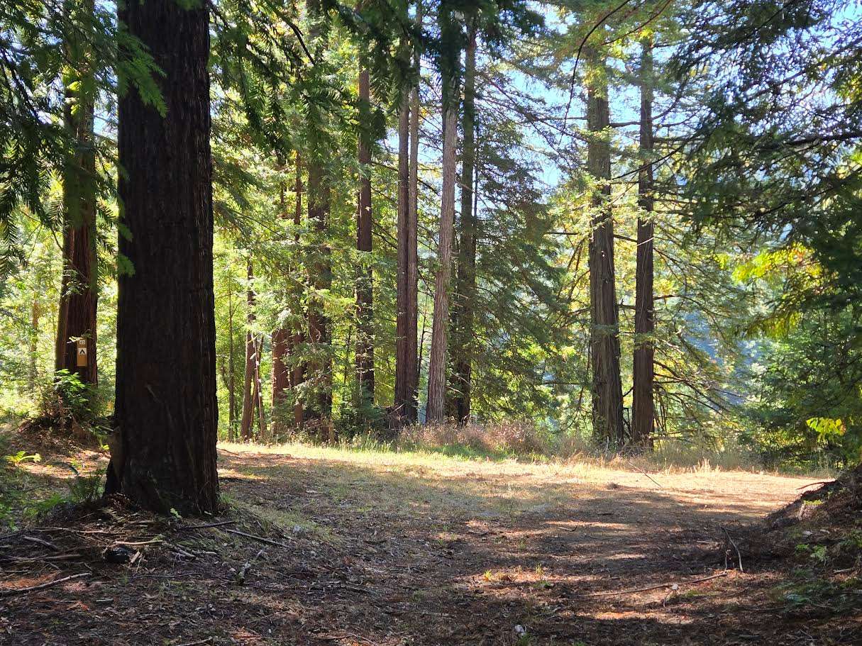 Camp Larabee - Secluded Redwoods