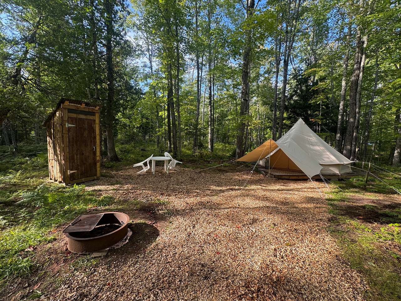Picture of the site