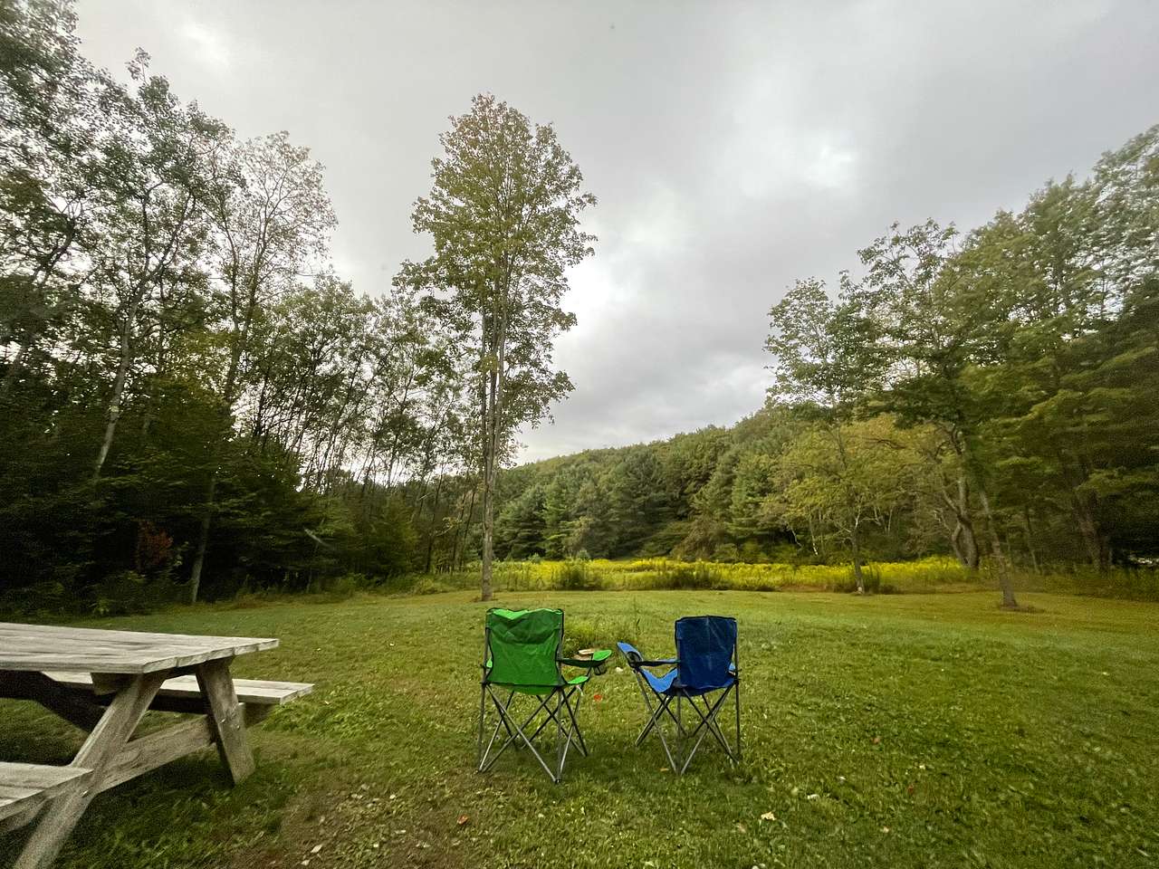 Picture of the site