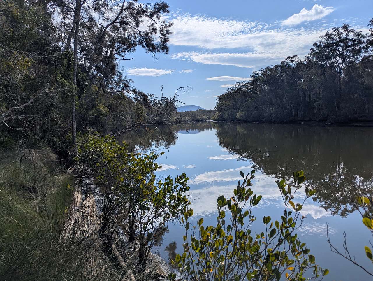 Three Rivers