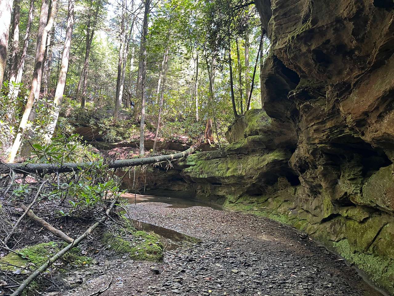 Picture of the site