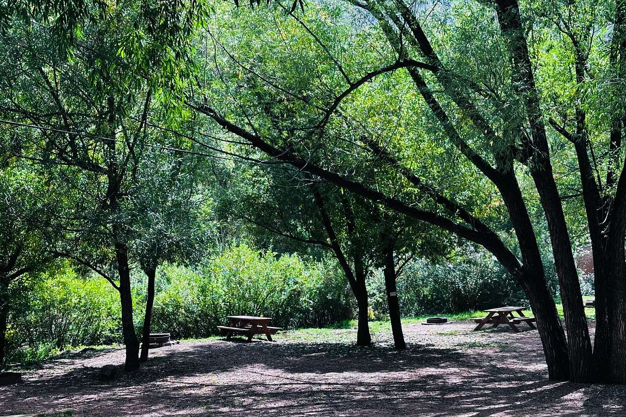 Shady tent area