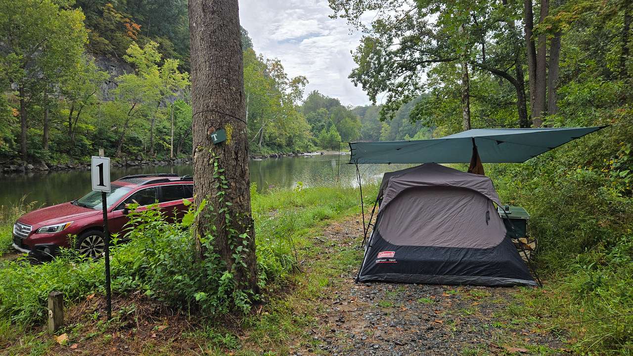 Picture of the site