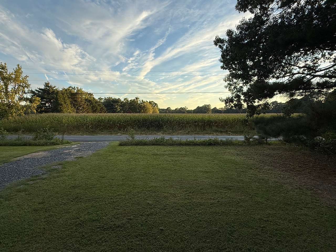 View from the cabin