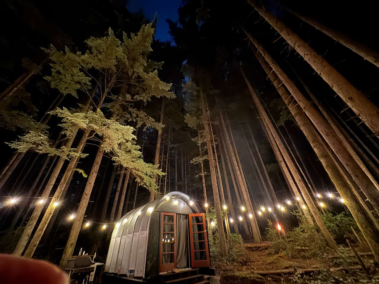 White Moth Lodge