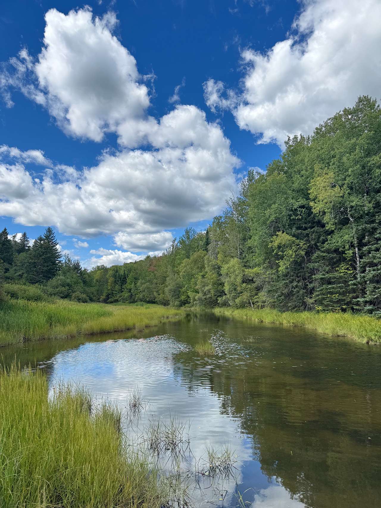 Creekside RnR Glamping