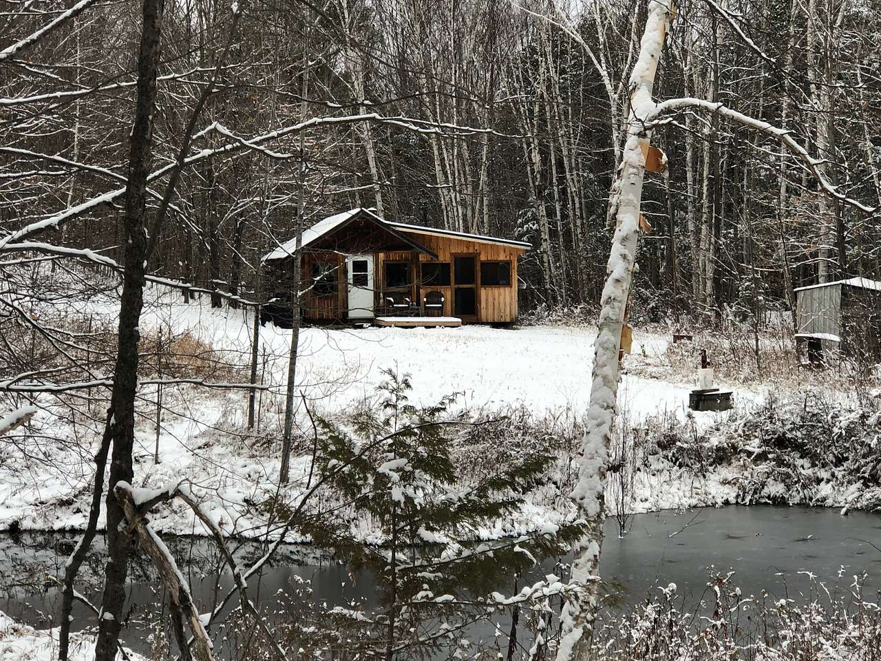 Cabin In The Woods