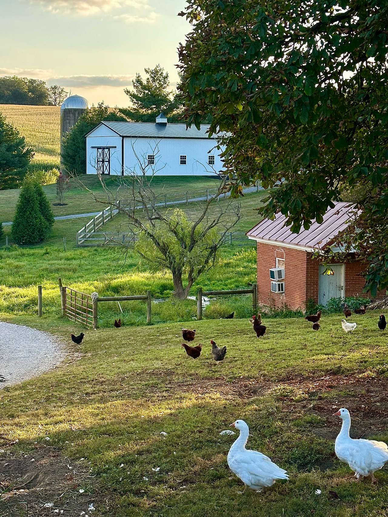 This was the actual view from our RV