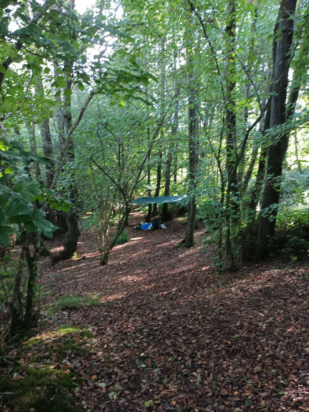 Hook Farm Campsite