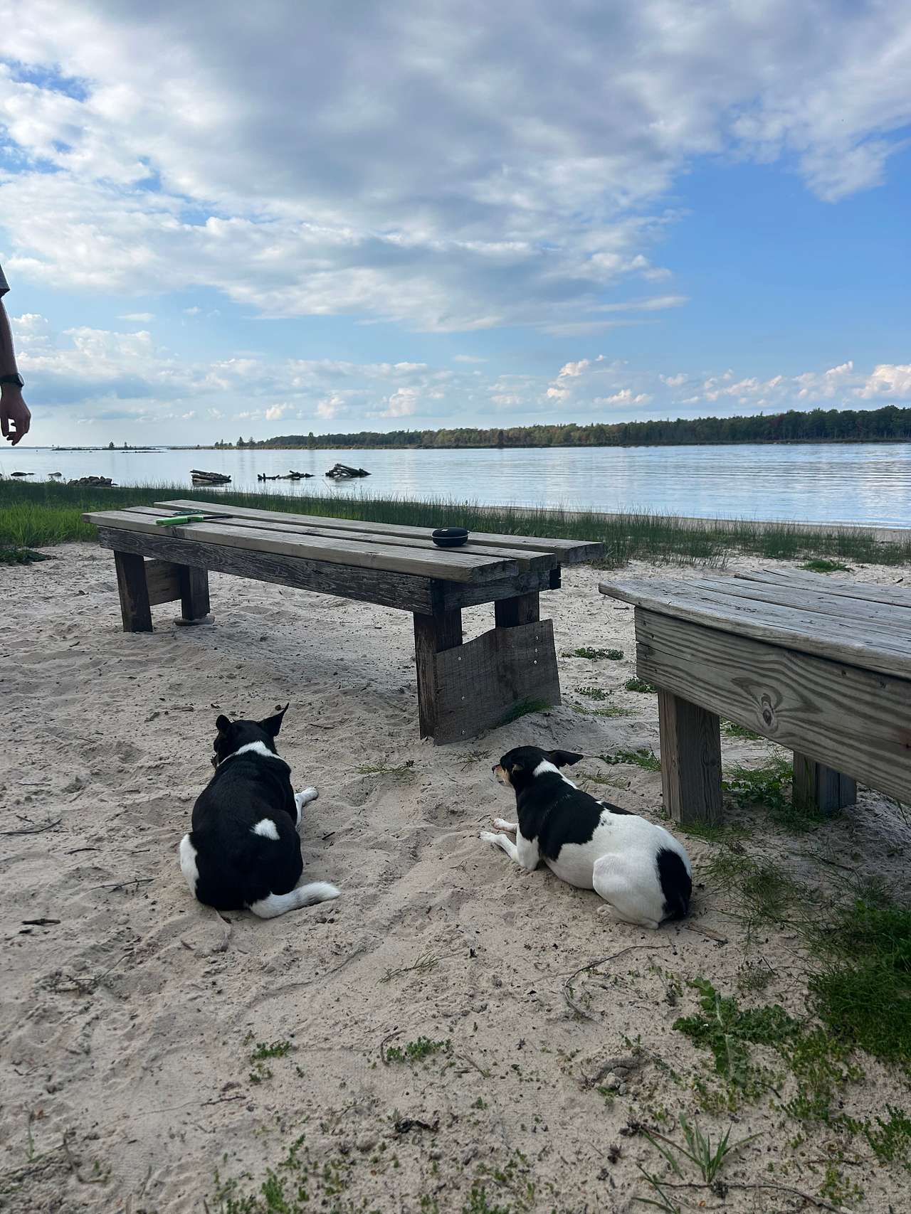 View pets photos of Neebish Island Light Station