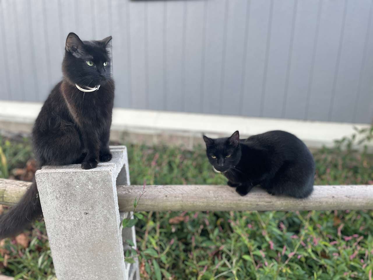 So friendly! 