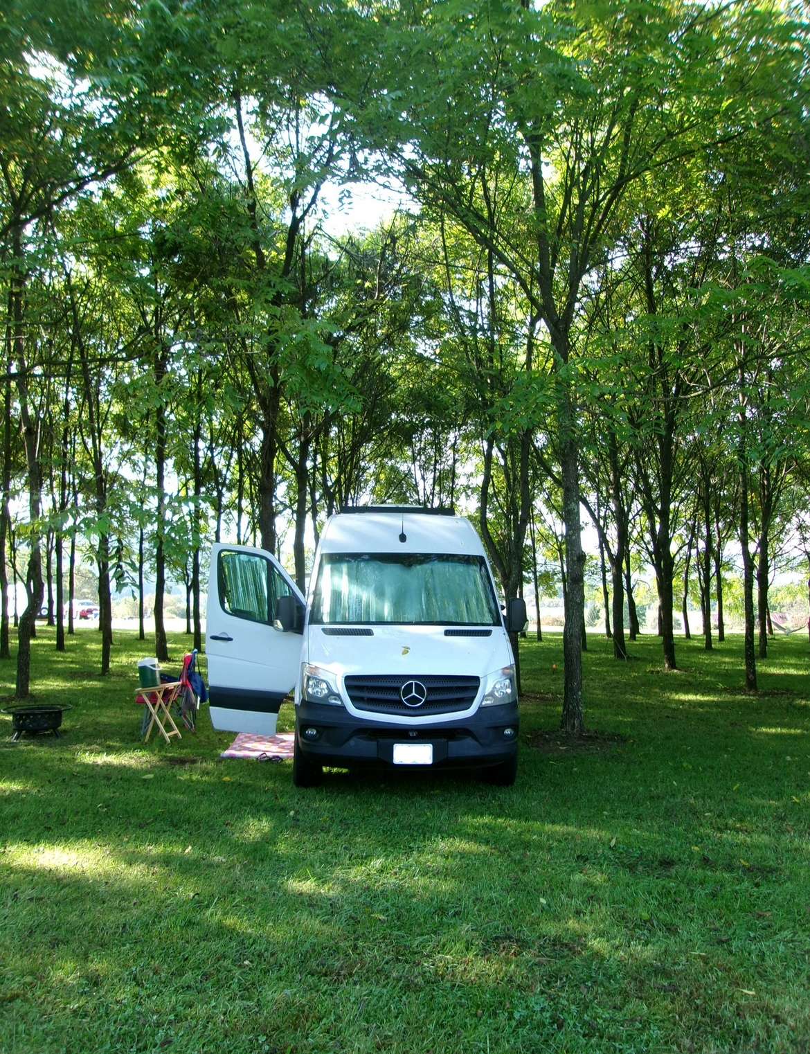 Picture of the site
