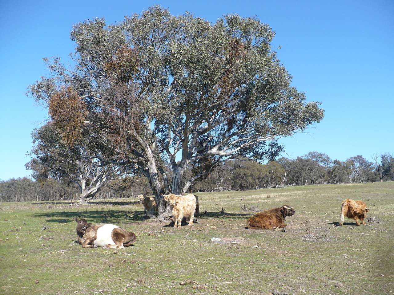 The Yurtfarm